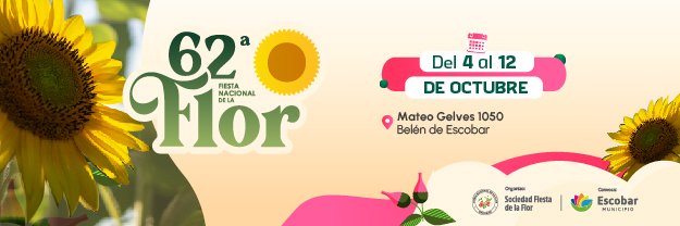 banner web fnf_300 x 100